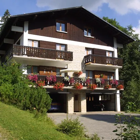 Aux Gets, Pres Des Pistes, 4 Pers, Parking, Tv, Lave-vaisselle, Navette A 10m - Fr-1-671-145 *