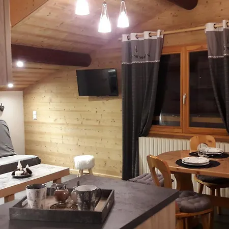 Aux Gets, Pres Des Pistes, 4 Pers, Parking, Tv, Lave-vaisselle, Navette A 10m - Fr-1-671-145