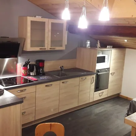 Aux Gets, Pres Des Pistes, 4 Pers, Parking, Tv, Lave-vaisselle, Navette A 10m - Fr-1-671-145 Les Gets